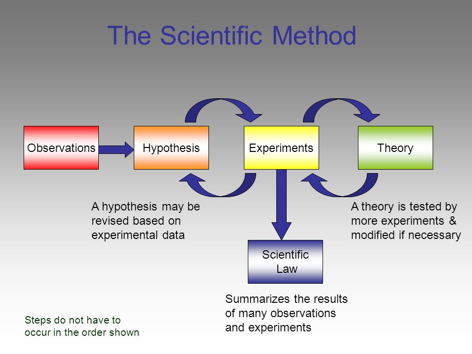 Investing for beginners 6 steps for scientific method operando forex